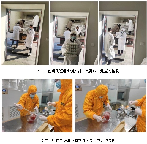 國藥威克 76383d98-7111-403a-8447-0608b211a355.jpg